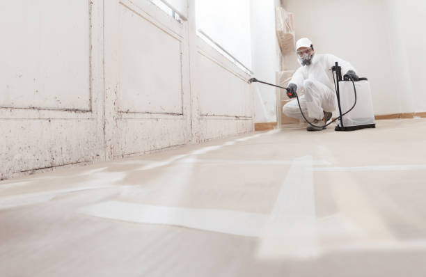 24/7 Emergency Mold Remediation experts in Mount Royal, NJ