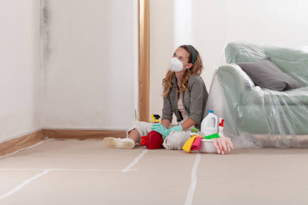 Reliable Mold Remediation contractor in Mount Royal, NJ by 24 Hour Mold Removal